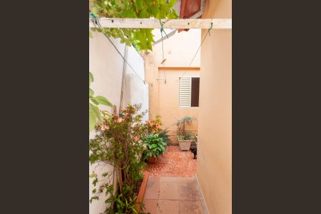 Casa para alugar com 50m², 1 quarto e 1 vagaQuintal