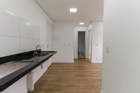 Apartamento para alugar com 35m², 2 quartos e sem vagaCozinha