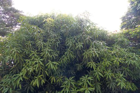 Apartamento à venda com 70m², 3 quartos e 2 vagasVista do Quarto 02