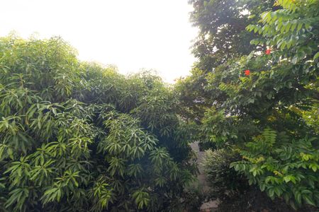 Apartamento à venda com 70m², 3 quartos e 2 vagasVista do Quarto 01