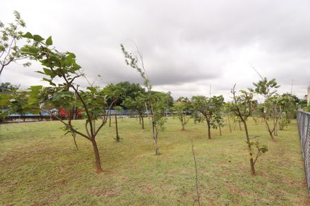 Apartamento para alugar com 45m², 2 quartos e 1 vagaÁrea comum - Pomar