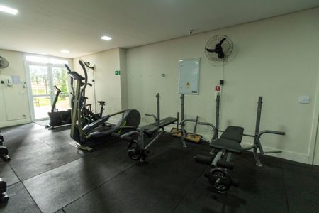 Apartamento à venda com 74m², 3 quartos e 2 vagasÁrea comum - Academia