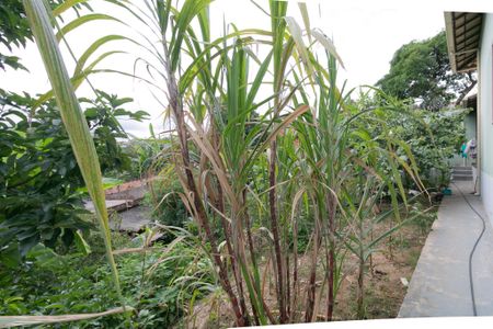 Casa à venda com 156m², 3 quartos e 2 vagasÁrea Externa