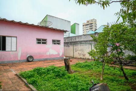 Casa à venda com 527m², 3 quartos e 18 vagasQuintal