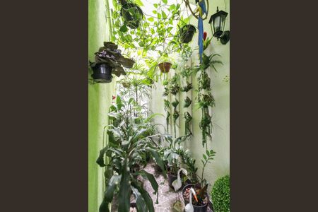 Casa à venda com 115m², 3 quartos e 1 vagaJardim de inverno