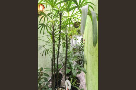 Casa à venda com 115m², 3 quartos e 1 vagaJardim de inverno