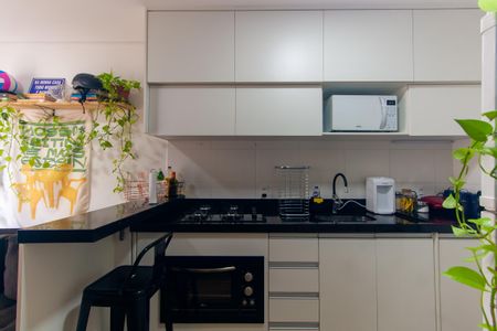 Apartamento para alugar com 29m², 1 quarto e sem vaga Apartamento para alugar com 29m², 1 quarto e sem vagaCozinha