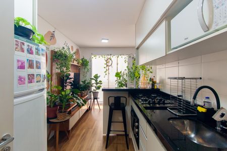 Apartamento para alugar com 29m², 1 quarto e sem vaga Apartamento para alugar com 29m², 1 quarto e sem vagaCozinha