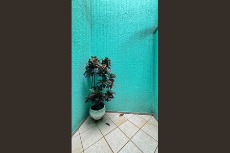 Casa para alugar com 246m², 3 quartos e 5 vagas Casa para alugar com 246m², 3 quartos e 5 vagasJardim de Inverno