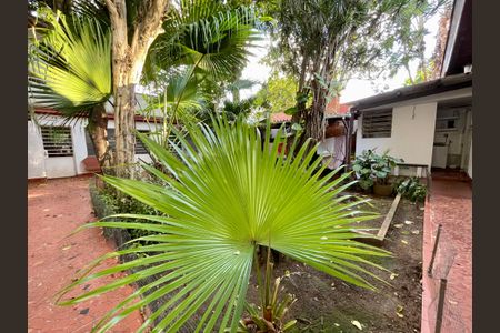 Casa para alugar com 565m², 4 quartos e 2 vagasÁrea externa