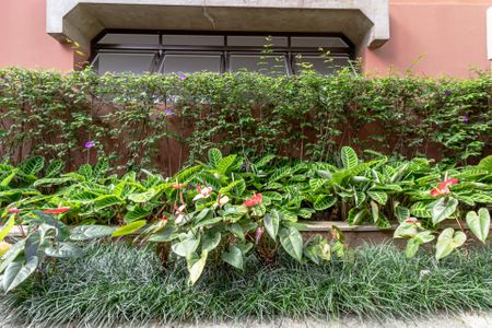 Apartamento à venda com 180m², 3 quartos e 3 vagasÁrea comum - Jardim