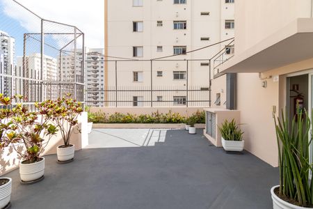 Apartamento para alugar com 67m², 3 quartos e 1 vaga Apartamento para alugar com 67m², 3 quartos e 1 vagaÁrea comum - Churrasqueira