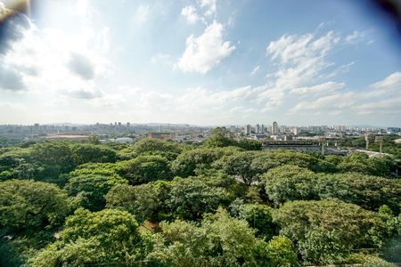 Apartamento à venda com 167m², 3 quartos e 3 vagasVista da suíte 01