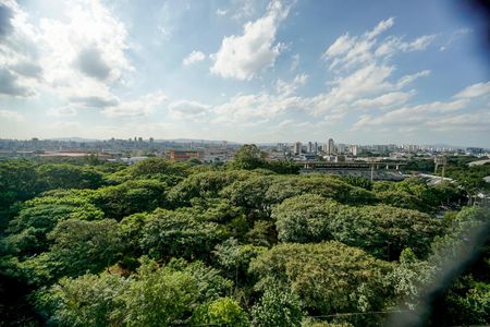 Apartamento à venda com 167m², 3 quartos e 3 vagasVista da varanda