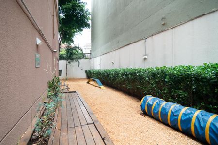 Apartamento para alugar com 30m², 1 quarto e sem vagaPetPlace