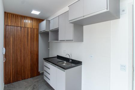 Apartamento para alugar com 36m², 2 quartos e sem vagaCozinha e Área de Serviço
