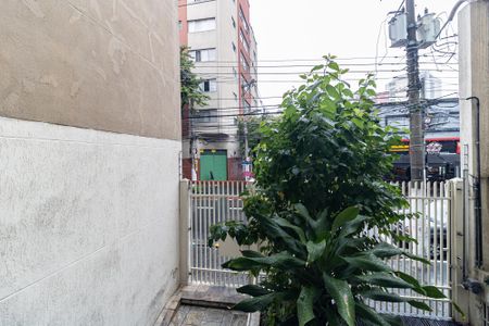 Apartamento para alugar com 71m², 2 quartos e sem vaga Apartamento para alugar com 71m², 2 quartos e sem vagaVista do Quarto 1