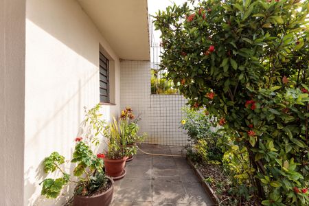 Casa à venda com 145m², 2 quartos e 1 vaga Casa à venda com 145m², 2 quartos e 1 vagaQuintal