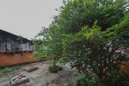 Casa à venda com 275m², 2 quartos e 2 vagasQuintal/Jardim