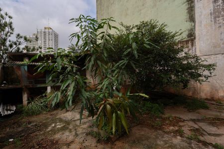 Casa à venda com 275m², 2 quartos e 2 vagasQuintal/Jardim