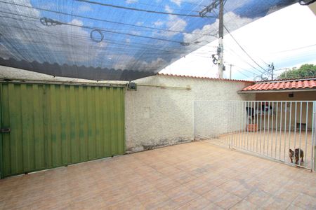 Casa para alugar com 245m², 5 quartos e 6 vagasQuintal