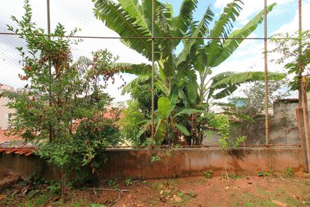 Casa para alugar com 245m², 5 quartos e 6 vagasQuintal