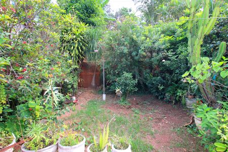 Casa para alugar com 245m², 5 quartos e 6 vagasQuintal