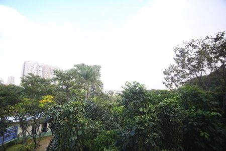 Apartamento para alugar com 56m², 3 quartos e 1 vagaSala