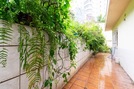 Casa à venda com 517m², 3 quartos e 5 vagasQuintal