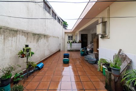 Casa à venda com 517m², 3 quartos e 5 vagasQuintal