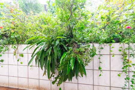 Casa à venda com 517m², 3 quartos e 5 vagasVista da Sala de Estar