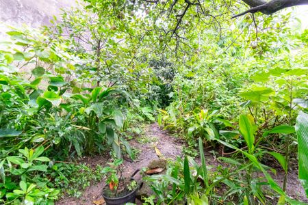 Casa à venda com 517m², 3 quartos e 5 vagasJardim