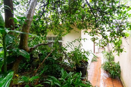 Casa à venda com 517m², 3 quartos e 5 vagasJardim