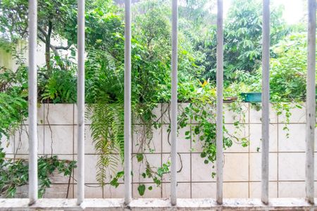 Casa à venda com 517m², 3 quartos e 5 vagasVista da Sala de Jantar