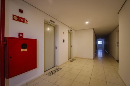Apartamento para alugar com 28m², 1 quarto e sem vagaHall Social