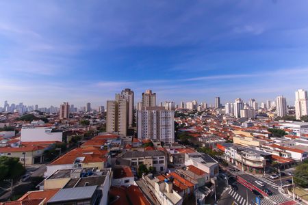 Apartamento para alugar com 51m², 1 quarto e sem vaga Apartamento para alugar com 51m², 1 quarto e sem vagaVista