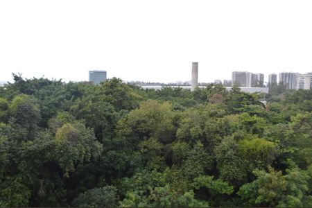 Apartamento para alugar com 32m², 1 quarto e 1 vagaVista da Varanda