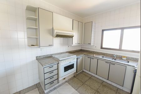Apartamento para alugar com 257m², 4 quartos e 1 vagaCozinha