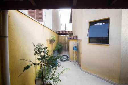 Casa à venda com 391m², 3 quartos e 5 vagasQuintal
