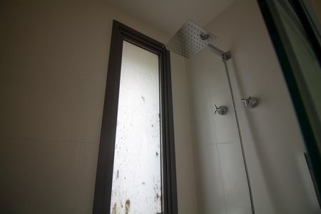 Apartamento à venda com 68m², 2 quartos e 1 vaga Apartamento à venda com 68m², 2 quartos e 1 vagaBanheiro da Suíte 2