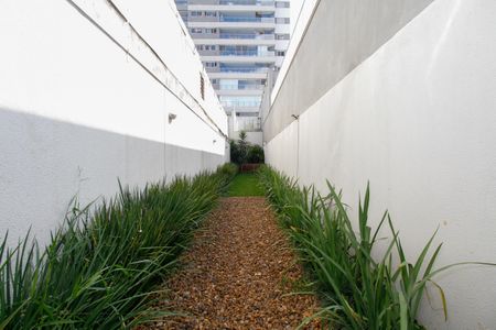 Apartamento à venda com 120m², 3 quartos e 2 vagasÁrea Comum - Pet Place