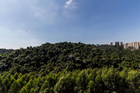 Apartamento à venda com 50m², 1 quarto e 2 vagasVista da Varanda