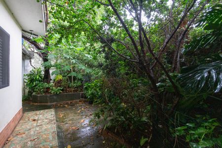 Casa à venda com 500m², 6 quartos e 2 vagasQuintal