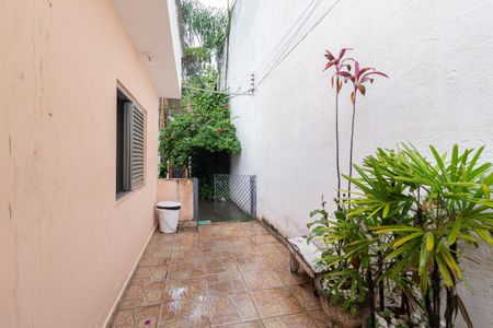 Casa à venda com 500m², 6 quartos e 2 vagasQuintal