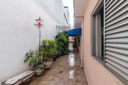 Casa à venda com 500m², 6 quartos e 2 vagasQuintal