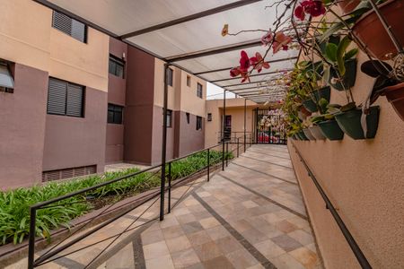 Apartamento para alugar com 55m², 2 quartos e 1 vaga Apartamento para alugar com 55m², 2 quartos e 1 vagaÁrea comum