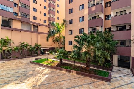 Apartamento para alugar com 55m², 2 quartos e 1 vaga Apartamento para alugar com 55m², 2 quartos e 1 vagaVista do Quarto 1