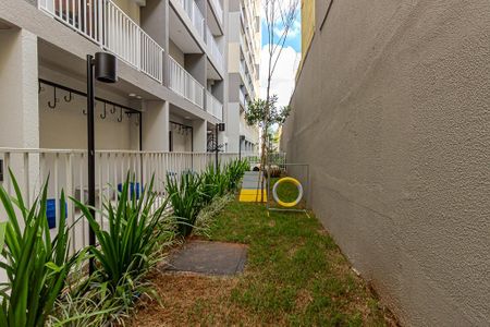 Studio para alugar com 26m², 1 quarto e sem vaga Studio para alugar com 26m², 1 quarto e sem vagaÁrea comum - Área pet