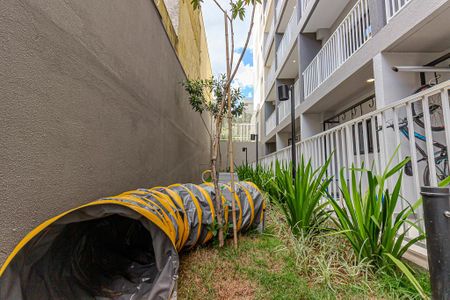 Studio para alugar com 26m², 1 quarto e sem vaga Studio para alugar com 26m², 1 quarto e sem vagaÁrea comum - Área pet