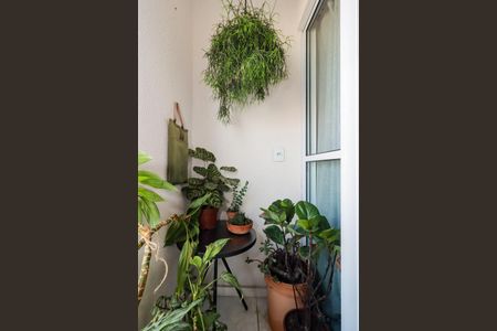 Apartamento para alugar com 32m², 2 quartos e sem vaga Apartamento para alugar com 32m², 2 quartos e sem vagaQuarto 1